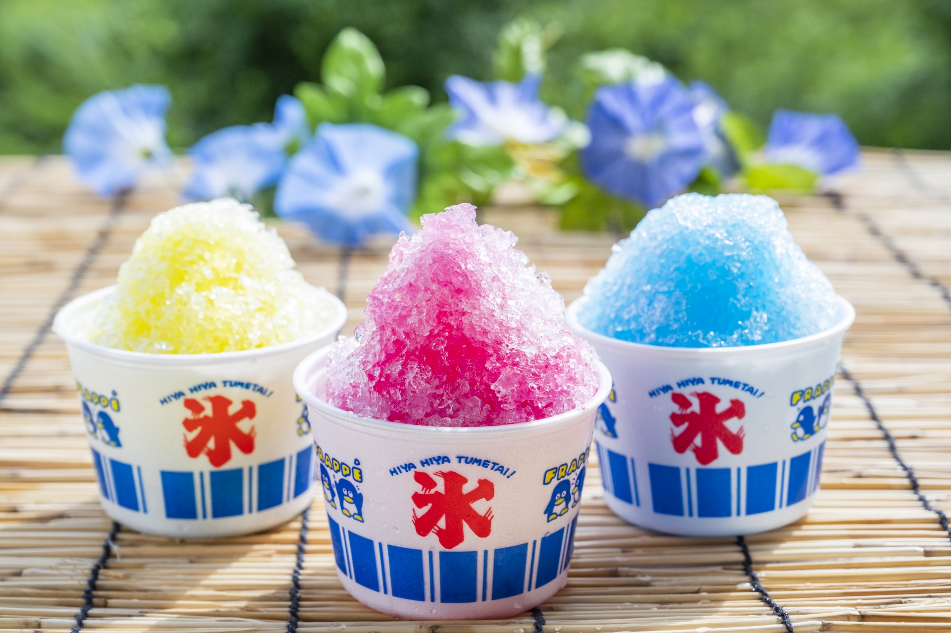 自然いっぱいの公園で遊んだ後は、身体をクールダウン！びわこ地球市民の森の『森カフェ』で、今年も夏限定【かき氷】の販売がスタート♪
