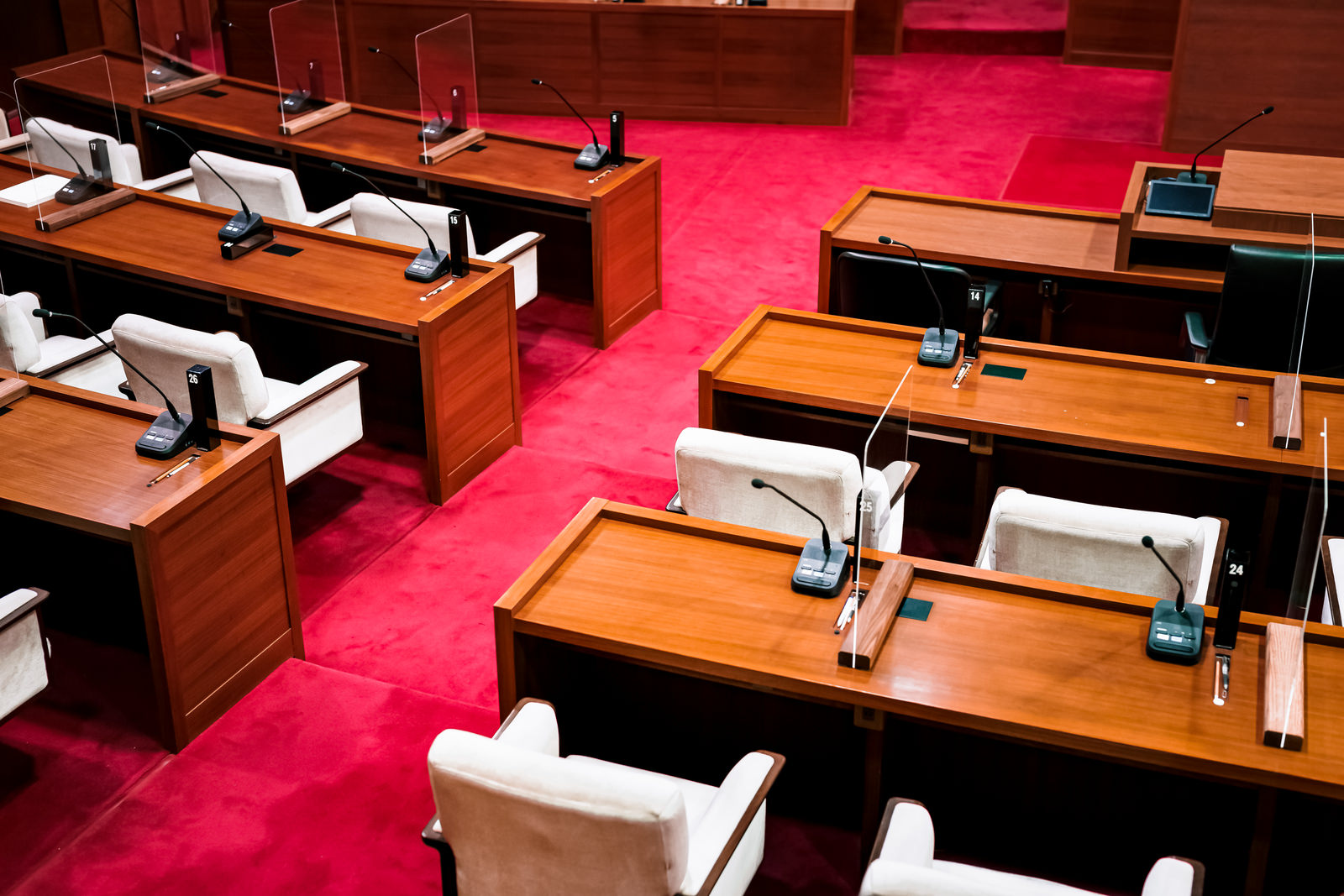 【応募は7/1まで】あなたのお子さまが子ども議員に？！2026年度子ども議員募集中です！