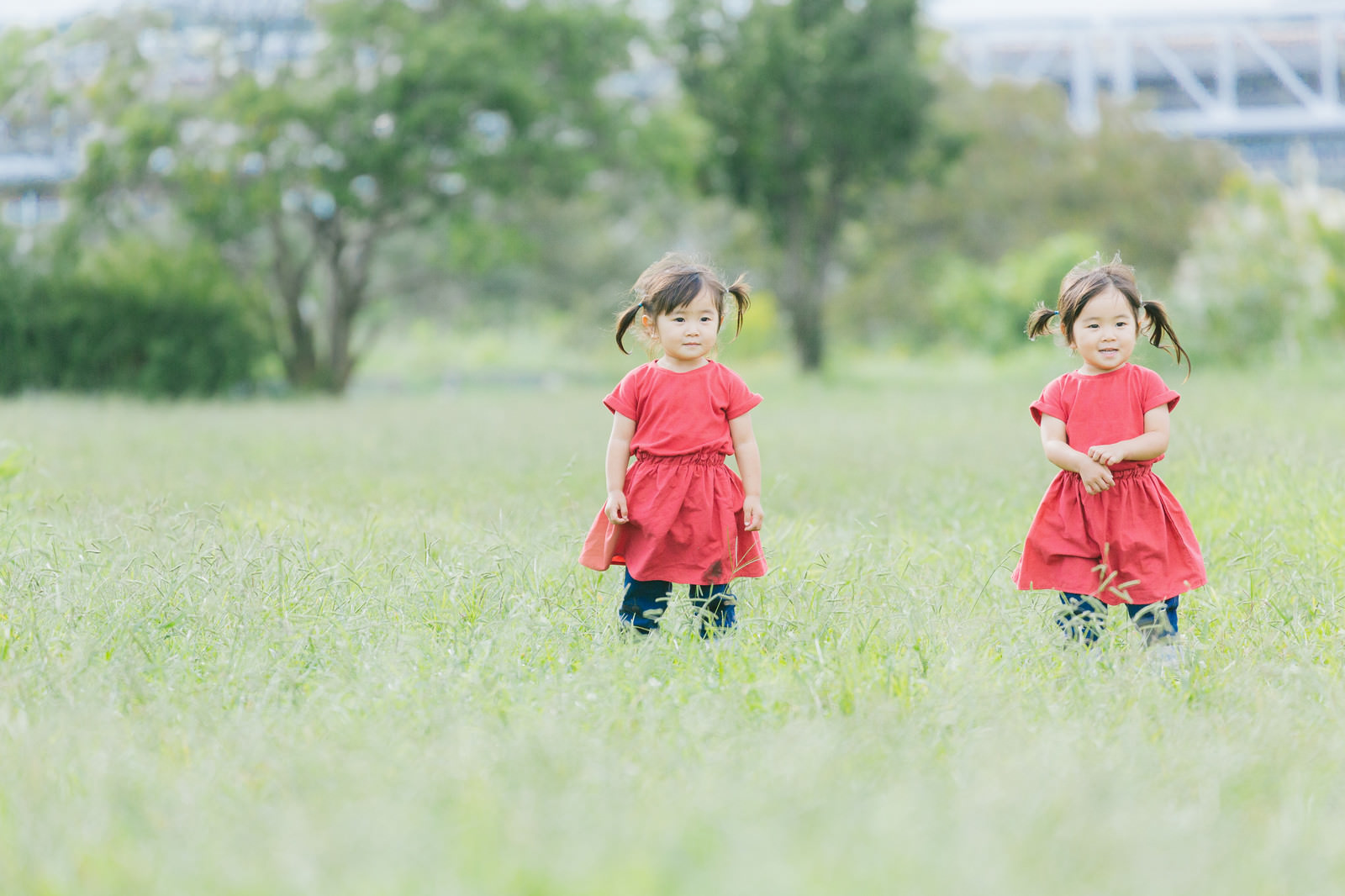 【米原市】夏休みのお出かけに！【伊吹山登山バス】が今年も運行♪ 9合目までラクラクアクセス！登山バス1日乗車券利用者限定特典で、お得に楽しもう★