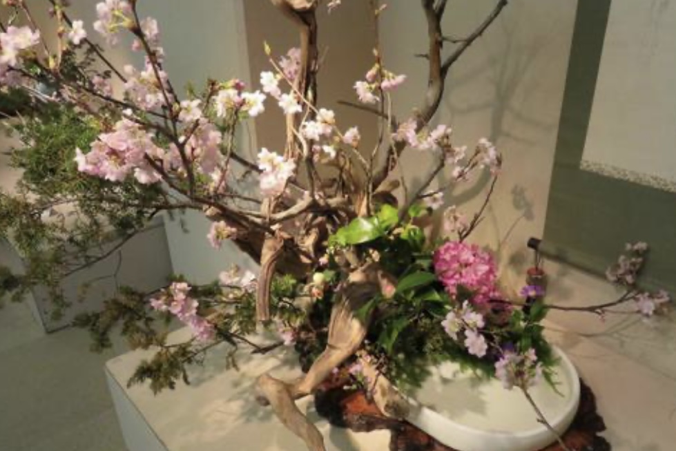 【入場無料】いけばな小原流「みんなの花展」開催！ 乾燥素材を使った作品展示や500円のいけばな体験も♪