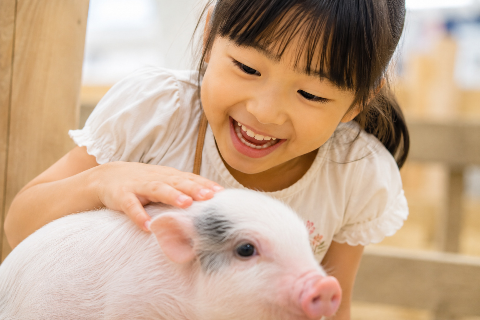 【入場無料】かわいい動物がやってくる！スカイランタン＆縁日も「滋賀県まちづくり未来博」三井アウトレット滋賀竜王で開催決定【10/3】