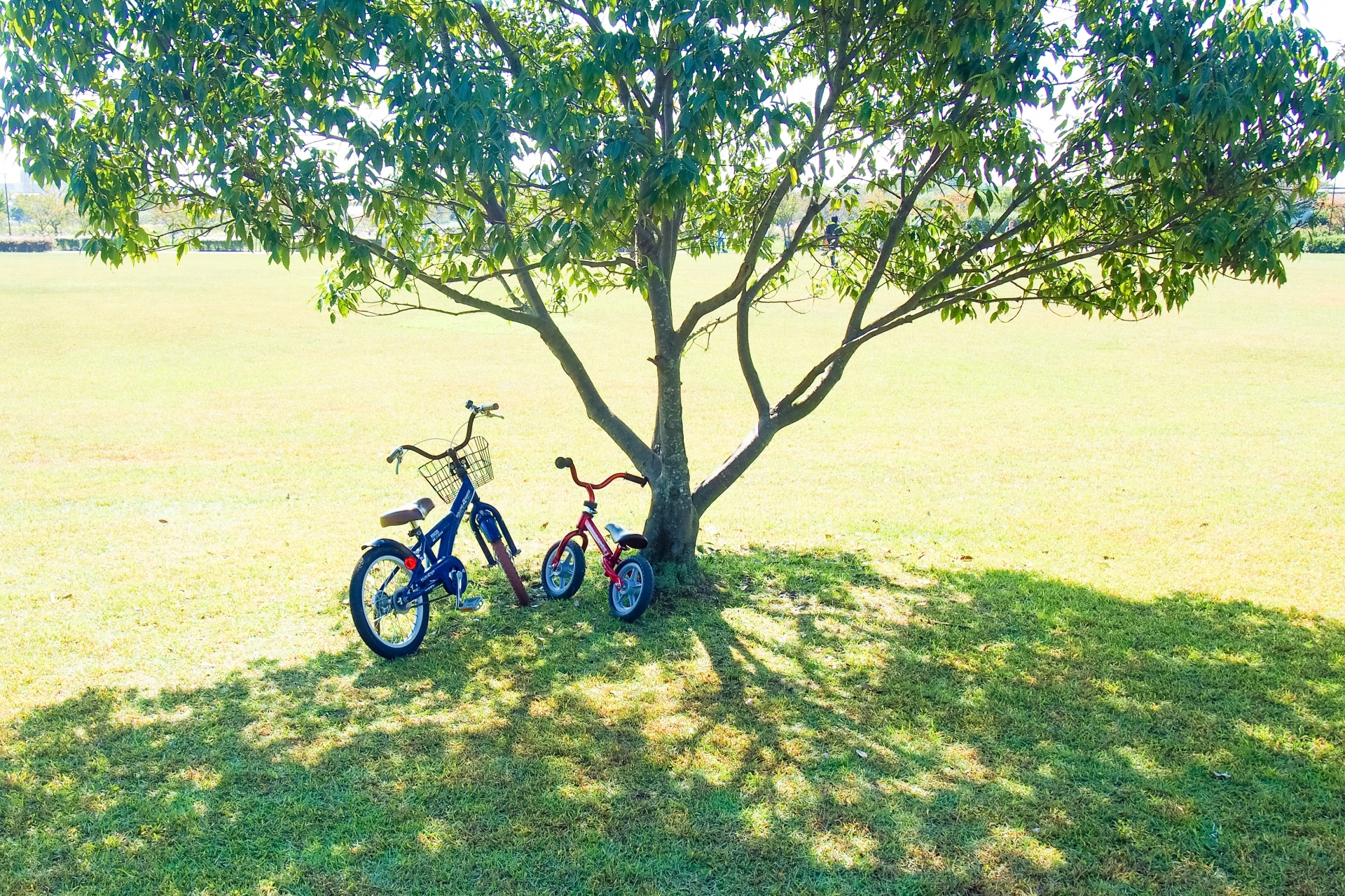 【野洲市】自転車レース、補助輪外しレッスン、自転車ツーリングなど親子で楽しもう♪「楽えんサイクルフェスタ2026」＜近江富士花緑公園・希望ヶ丘文化公園＞開催！