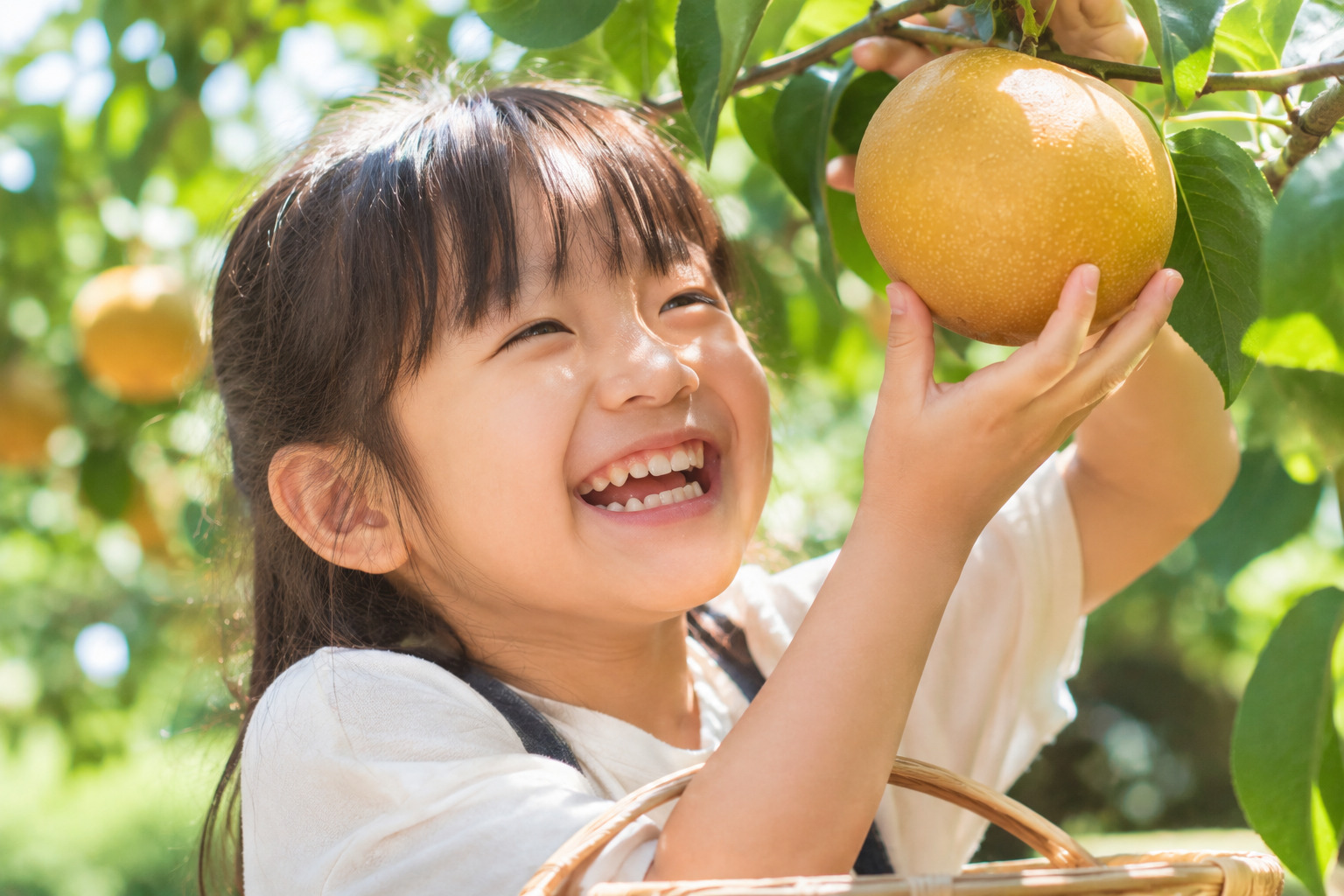 今だけしかできない非日常体験！小学生1000円！いえきち農園で「梨狩り」スタート【8/18~】