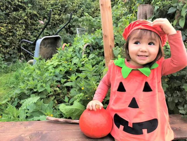 今年のハロウィンは家族でいっぱい遊んでいっぱいワクワクしよう！！限定グルメやスイーツ、パンプキンハントやフォトスポットなど盛りだくさん♪【ASOBIYUKU　HALLOWEEN2026　京都るり渓温泉　～11/3】