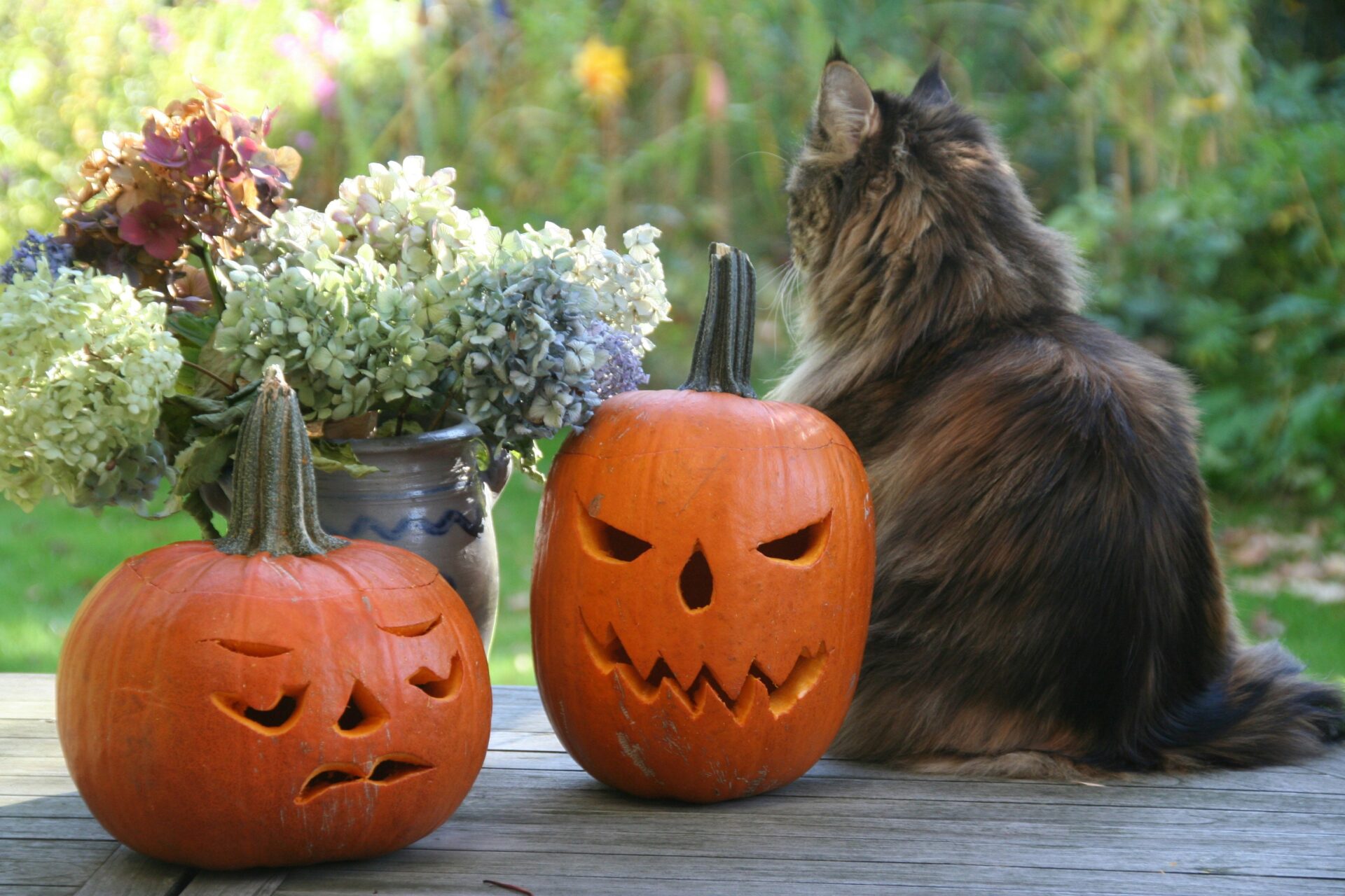 【大津市】ハロウィン仕様のイングリッシュガーデンが登場！！ハロウィンにちなんだワークショップもいっぱい♪『ハロウィンフェスタ』開催☆びわ湖大津館