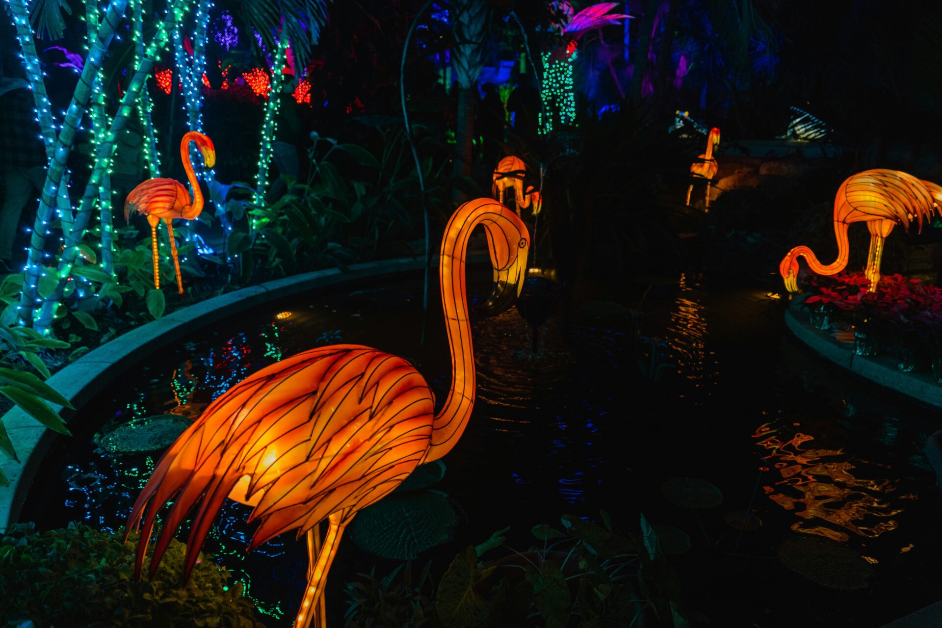 【9/12・9/13】クイズや体験ゲームあり★ライトアップされた夜の動物園を探索しよう♪『秋の夜間開園　ナイトアドベンチャー～動物の個性を学べる宝探し～』開催☆京都市動物園