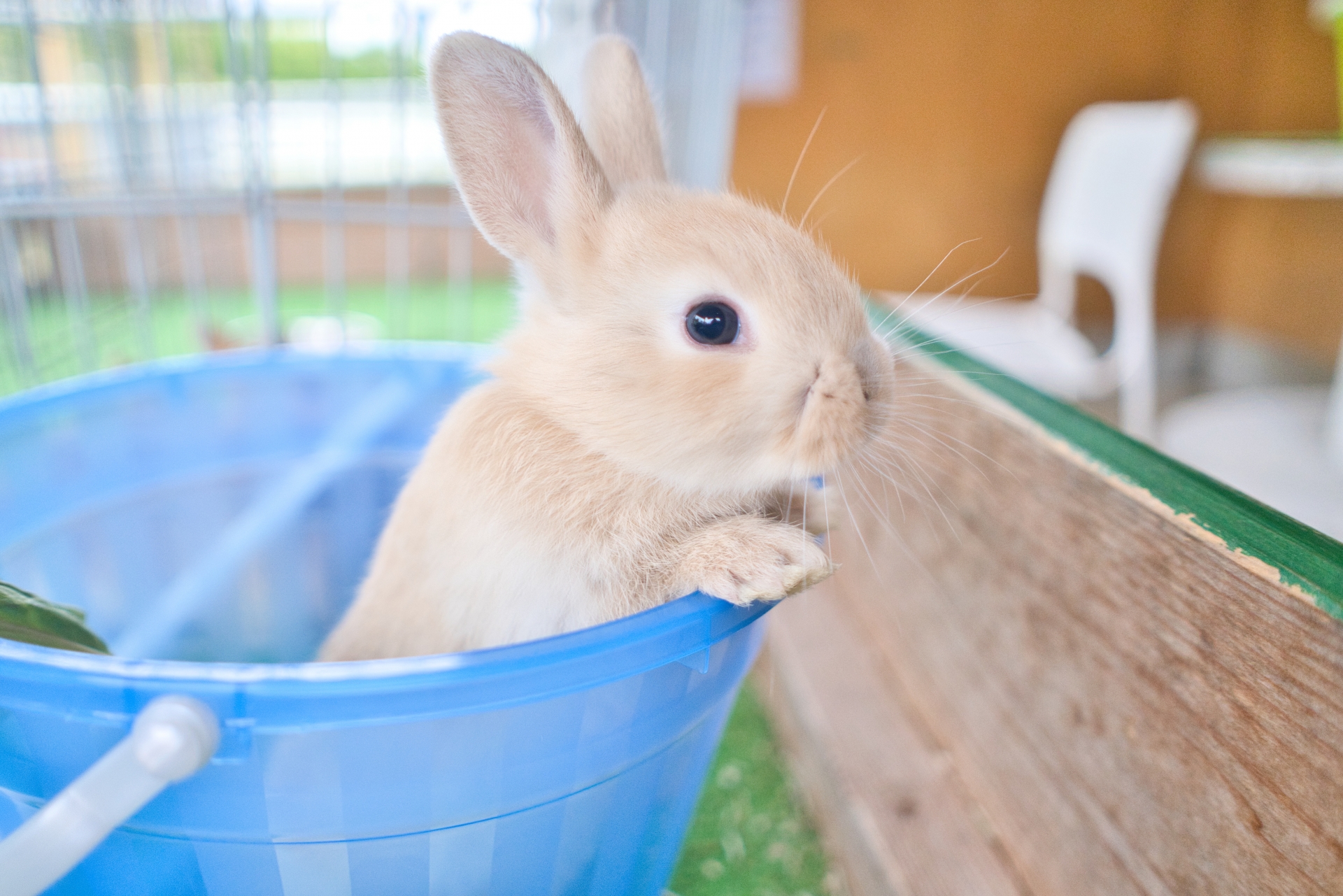 【3連休のお出かけに♪】ふれあい動物園・巨大ガチャガチャ、グルメにビール！子どもも大人も楽しめる【草津オクトーバーフェスト】