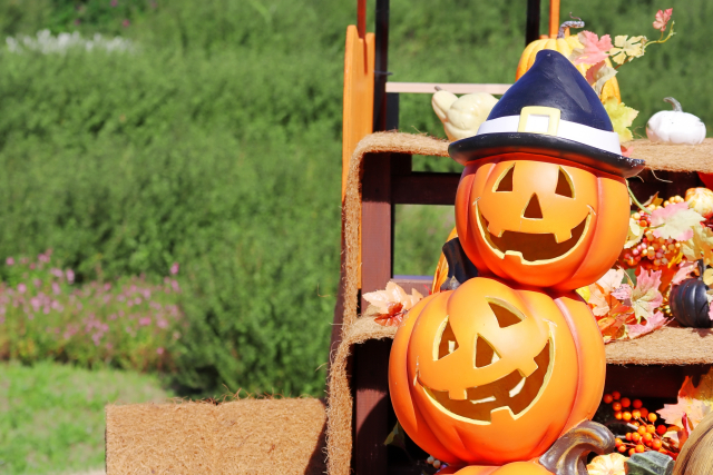 【11月1日】ハロウィンイベント開催！当日利用の高校生までのお子様に先着100名様へお菓子プレゼント！【もりやまエコパーク交流拠点施設】