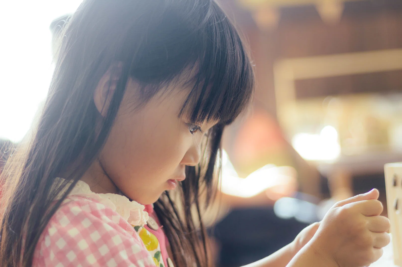 【高島市】【参加無料】森って、こんなにおもしろい！森を見て、触れて、楽しむ一日 10/17(土) Re-Woods 2026開催☆
