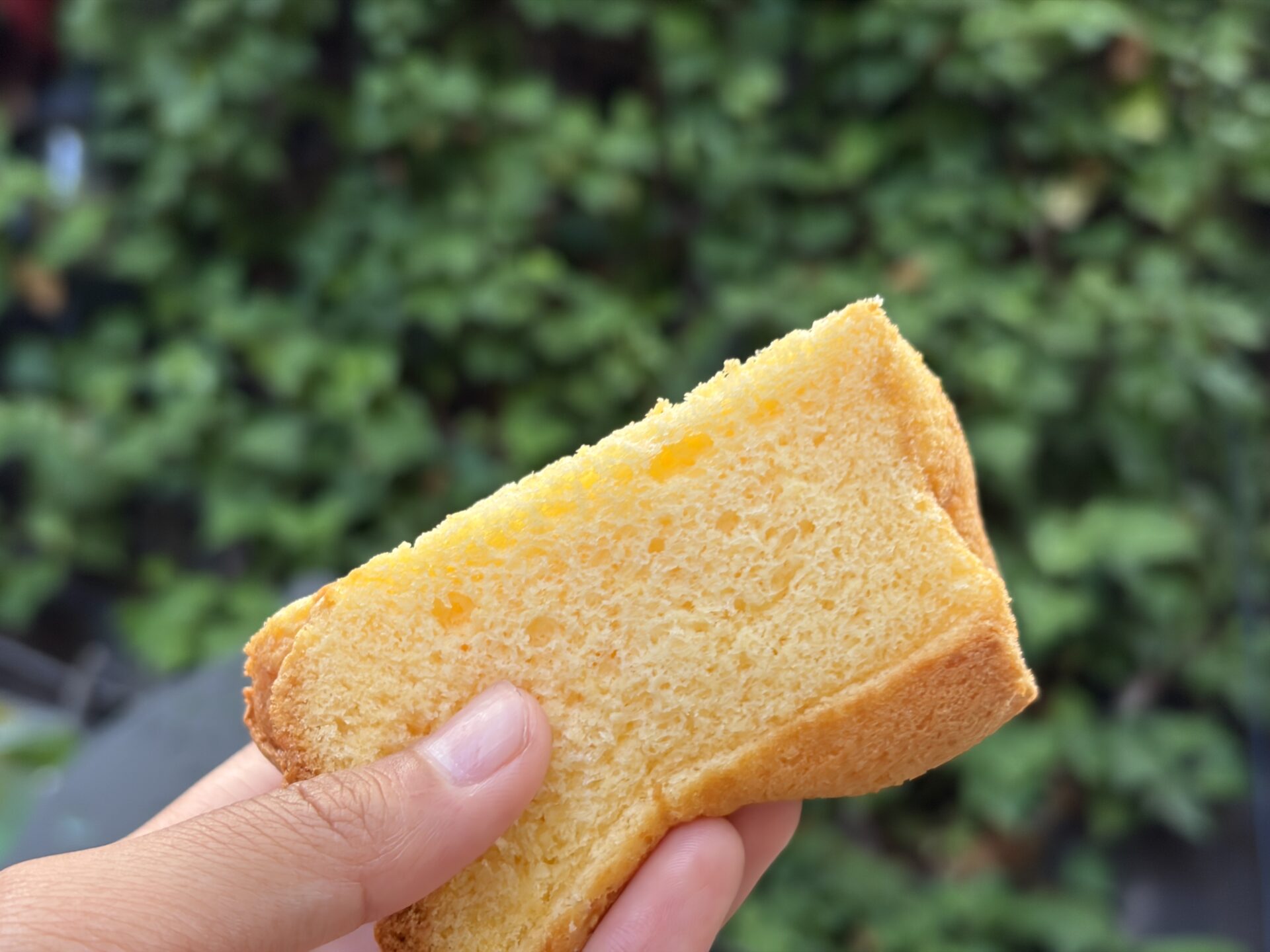 1個110円のシフォンケーキ、知ってる？もちもちふわふわ♪「キグミンの森」の店頭で見つけたおやつをレポート！