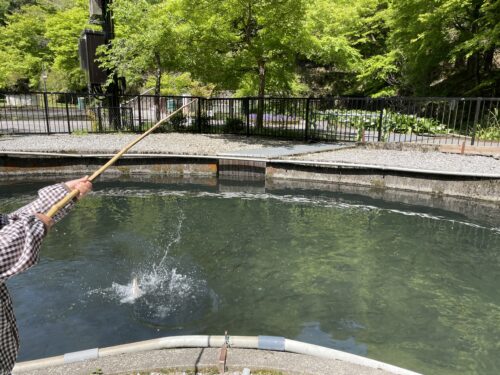【大津市】南郷水産センター2026年「マス釣り」営業開始！釣れた魚はその場で炭火焼きに♪
