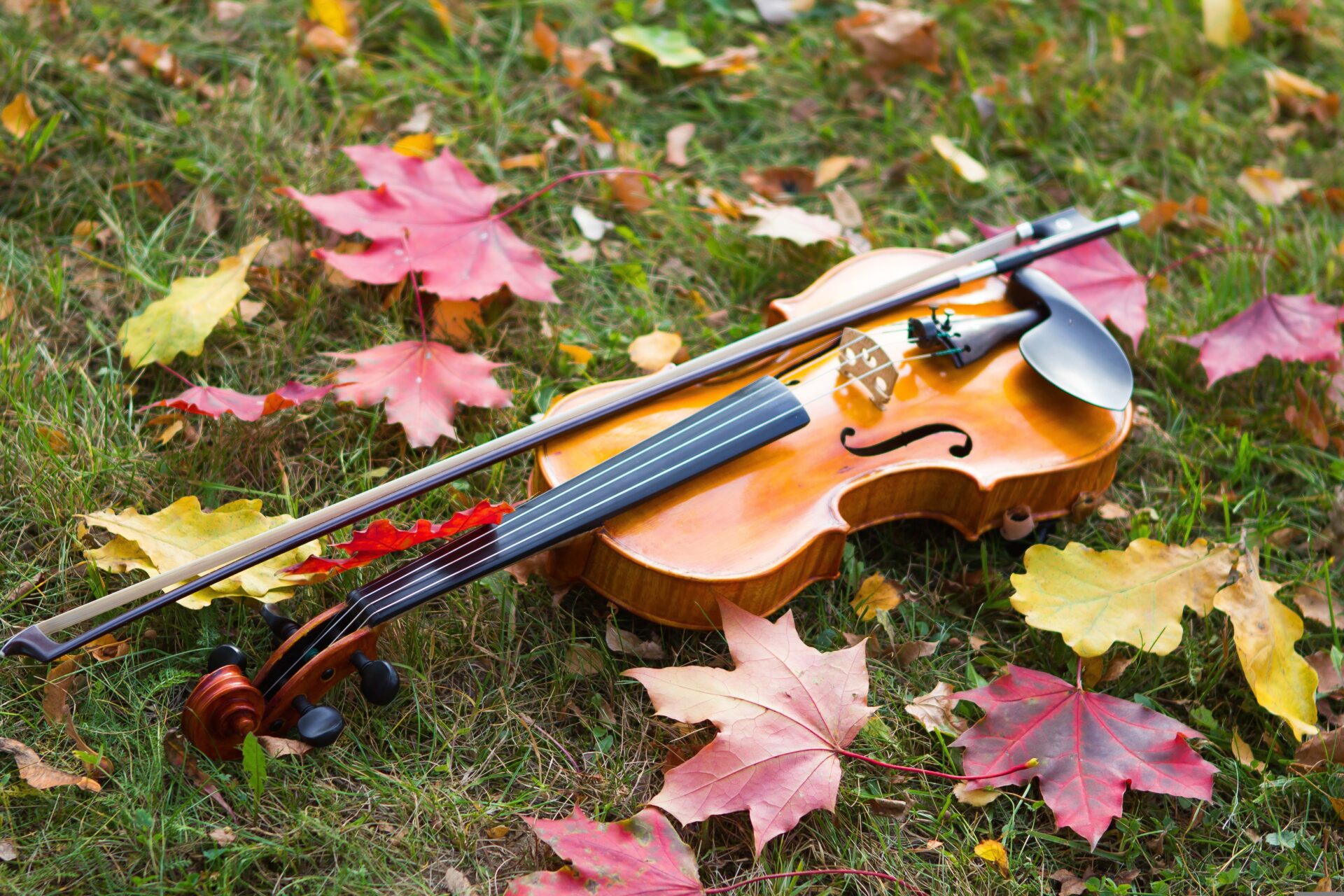 【彦根市】入場無料！子どもから大人まで音楽と楽器にふれられる1日♪【彦根　秋の市民音楽祭】開催☆ひこね市文化プラザ