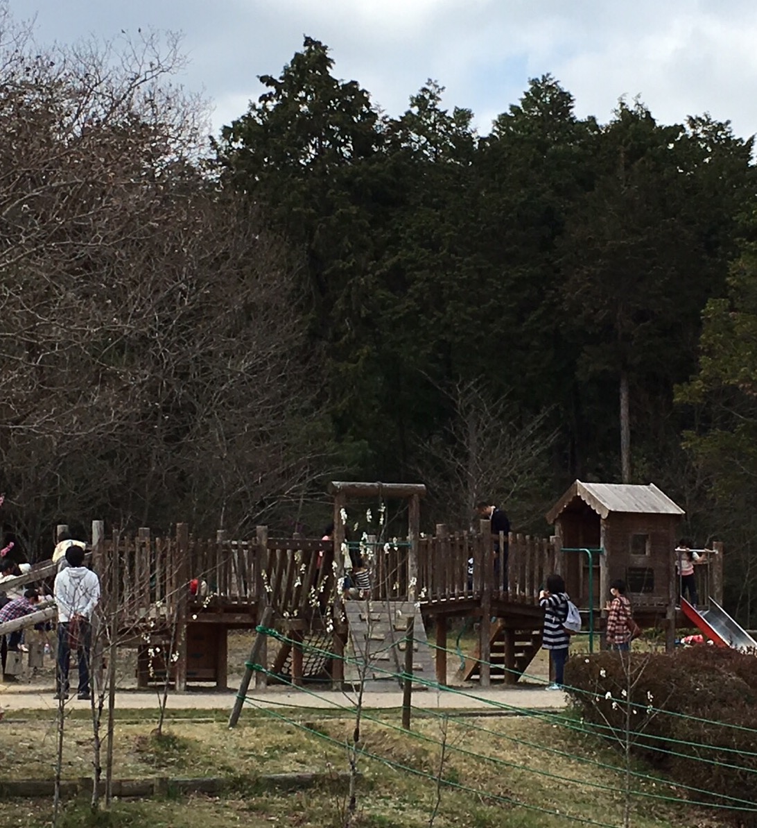お弁当を持って出掛けよう！一日遊べる、遊具いっぱい近江富士花緑公園☆