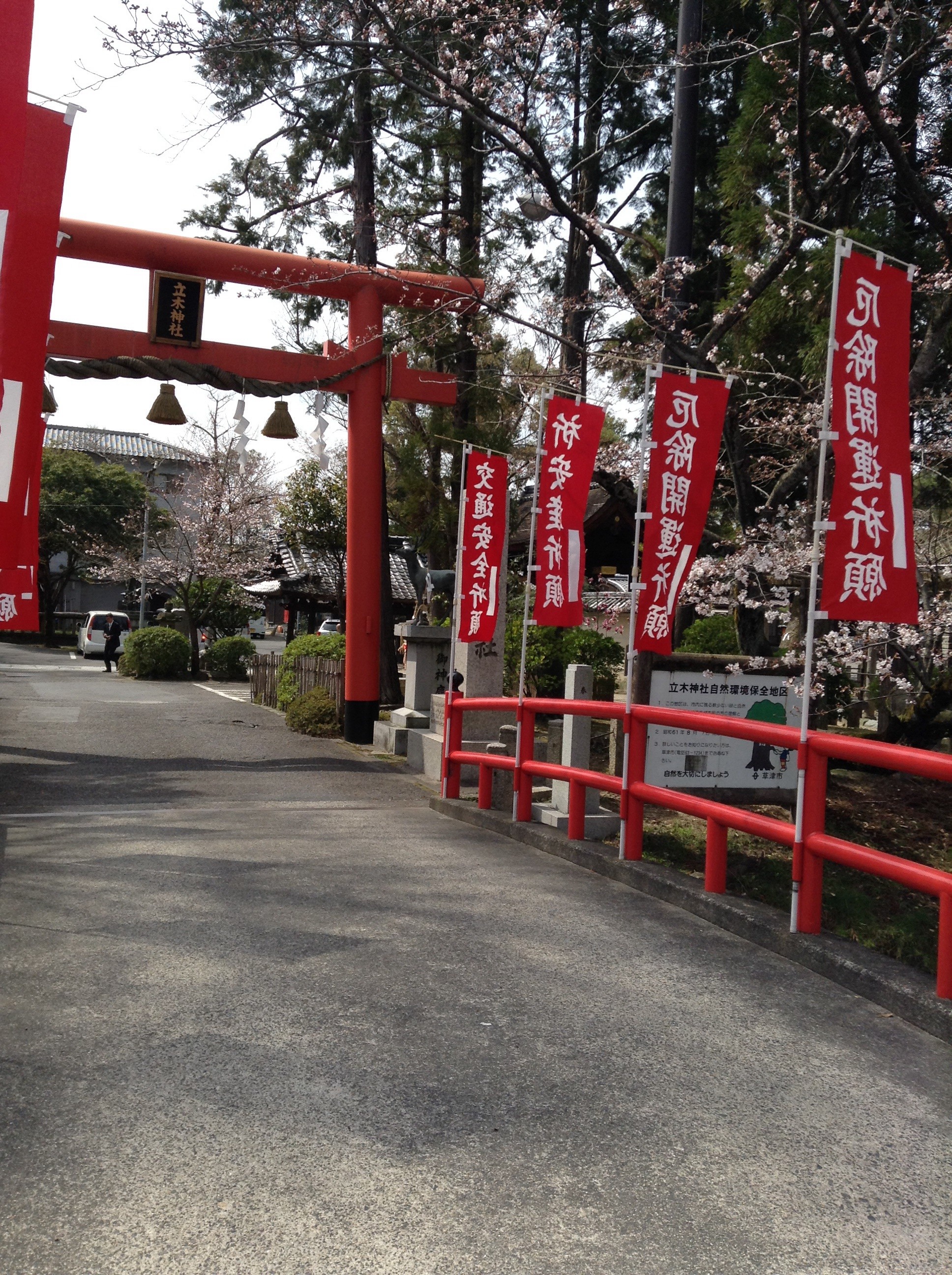 草津市 桜情報♪【立木神社】